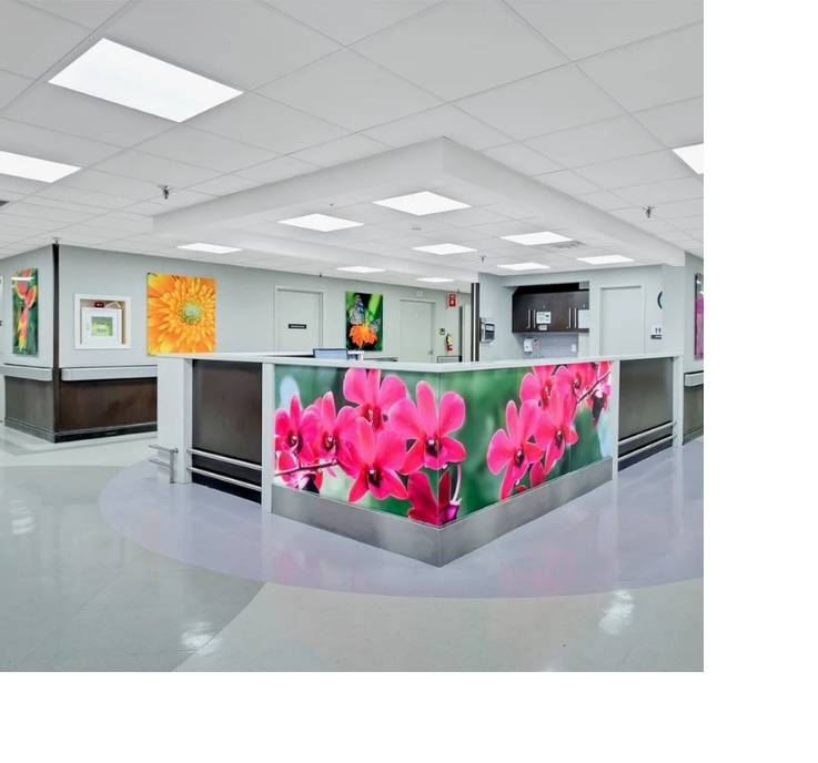 St. Augustine Commercial Construction Company